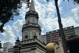 Private Customized Singapore Walking Tour