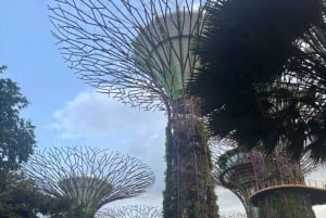 Private Customized Singapore Walking Tour