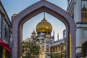 Singapore 3 etnische wijken - Harmony Discovery Tour