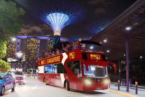 Singapore: 3-Hour Fully-Guided Big Bus Night Tour