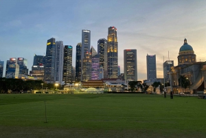Singapore: 3 Hours Sunset Private City Tour