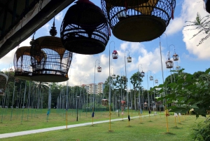 Singapore: 4-Hour Guided Walking Tour Across the Heartland