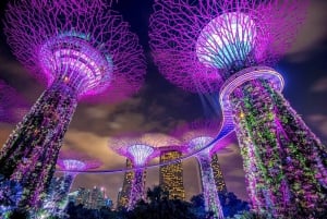 Singapore: Nighttime City Sightseeing Tour with River Cruise