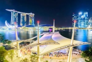 Singapore: Nighttime City Sightseeing Tour with River Cruise