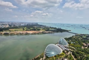 Singapur bez tajemnic: 6-godzinna wycieczka po mieście i kulinarna przygoda