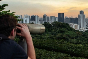 Singapore: 7-Hour Full Coverage Private Tour with a Local