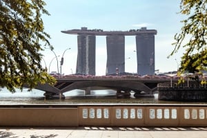 Singapore: tour privato completo di 7 ore con una guida locale