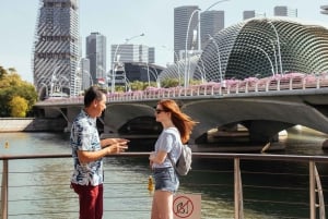 Singapore: tour privato completo di 7 ore con una guida locale