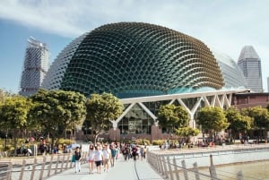 Singapore: tour privato completo di 7 ore con una guida locale