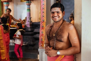 Singapore: tour privato completo di 7 ore con una guida locale