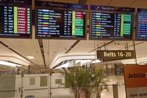 Singapore: Airport/Seaport Arrival Transfer + Meet & Greet