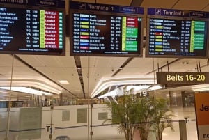 Singapore: Pacchetto Arrivo e Partenza dall'Aeroporto/Seaporto