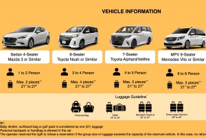 Singapore Changi Airport to Hotel - Toyota Alphard/Vellfire