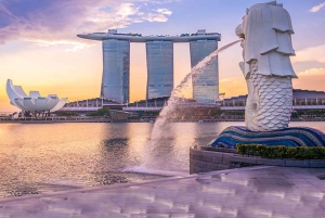 Flughafentransfer Singapur