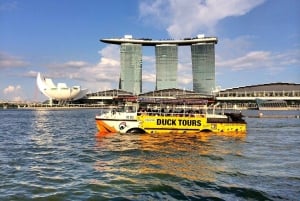 Singapore: Amphibious Land and Sea Tour