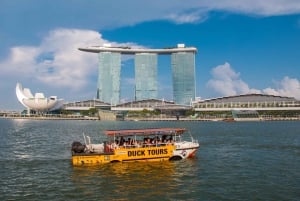 Singapore: Amphibious Land and Sea Tour