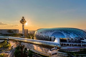 Singapore Arrival Transfer (Airport to Hotel)