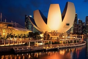 Singapore: ArtScience Museum Entry Ticket