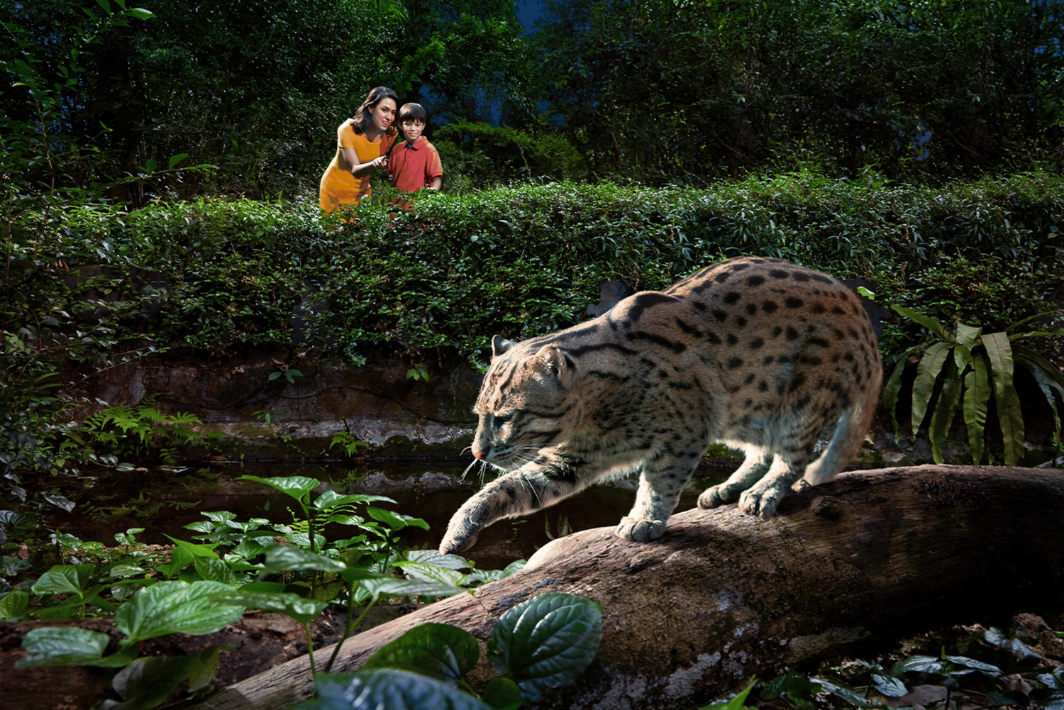 Singapore: Seværdigheder Fælles transport fra hotel