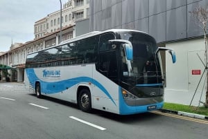 Singapore: Seværdigheder Fælles transport fra hotel