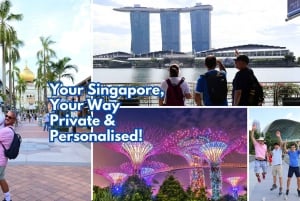 Singapore: Singaporen parhaat palat – yksityinen räätälöity kävelykierros