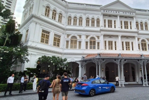 Singapore: Singaporen parhaat palat – yksityinen räätälöity kävelykierros