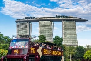 Singapore: Big Bus Hop-On Hop-Off Sightseeing Tour