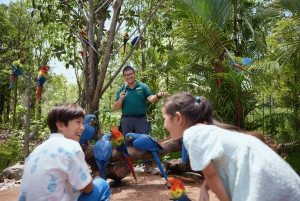 Singapore: Bird Paradise Entry Ticket