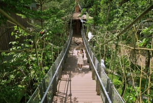 Singapore: Bird Paradise Entry Ticket