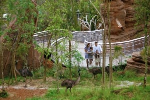 Singapore: Bird Paradise Entry Ticket