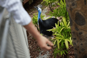 Singapore: Bird Paradise Entry Ticket