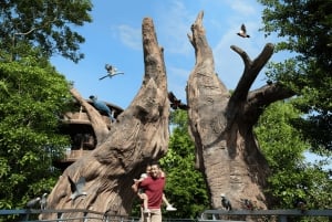 Singapore: Bird Paradise Entry Ticket
