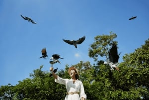Singapore: Bird Paradise Entry Ticket