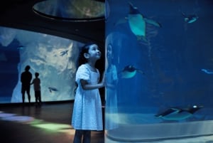 Singapore: Bird Paradise Entry Ticket