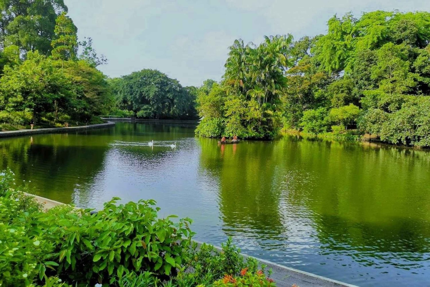 Singapore: Botaniska trädgården och Tiong Bahru-promenad med frukost