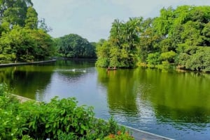 Singapore: Botaniska trädgården och Tiong Bahru-promenad med frukost