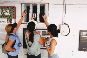 Singapore: Botaniska trädgården och Tiong Bahru-promenad med frukost