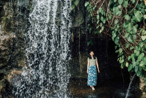 Singapore: ingresso ai giardini botanici e sessione fotografica