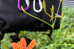 Singapore Brompton Bike Tour rautatiekäytävältä, ruokailuineen!