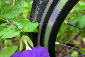 Singapore Brompton Bike Tour rautatiekäytävältä, ruokailuineen!