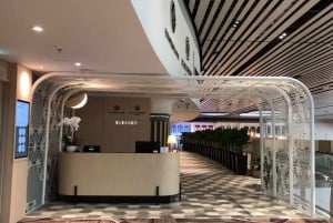 Changi Airport Premium Lounge Entry