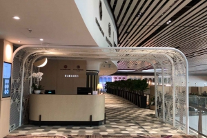 Singapore Changi Airport Premium Lounge Entry