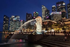 Singapore Changi Airport (SIN): Private transfer to Downtown
