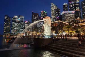 Flughafen Singapur Changi (SIN): Privater Transfer zum Stadtzentrum