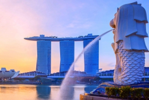 Singapore Changi Airport (SIN) Transfer to SG Hotel