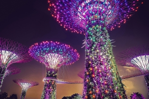 Singapur Changi Flughafen (SIN) Transfer zum SG Hotel