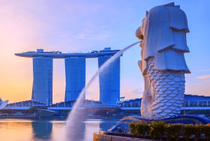 Singapur Changi Flughafen (SIN) Transfer zum SG Hotel