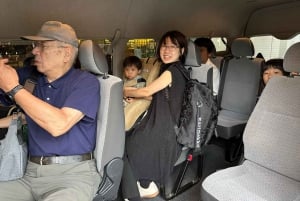 Singapur: traslado privado entre el Aeropuerto Changi y tu hotel