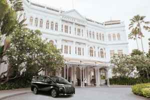 Lotnisko Changi w Singapurze do hotelu – Toyota Alphard/Vellfire