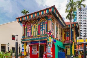 Singapore: Chinatown and Little India Guided Walking Tour